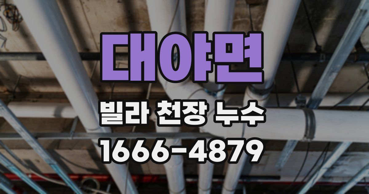 대야면 빌라 천장 누수