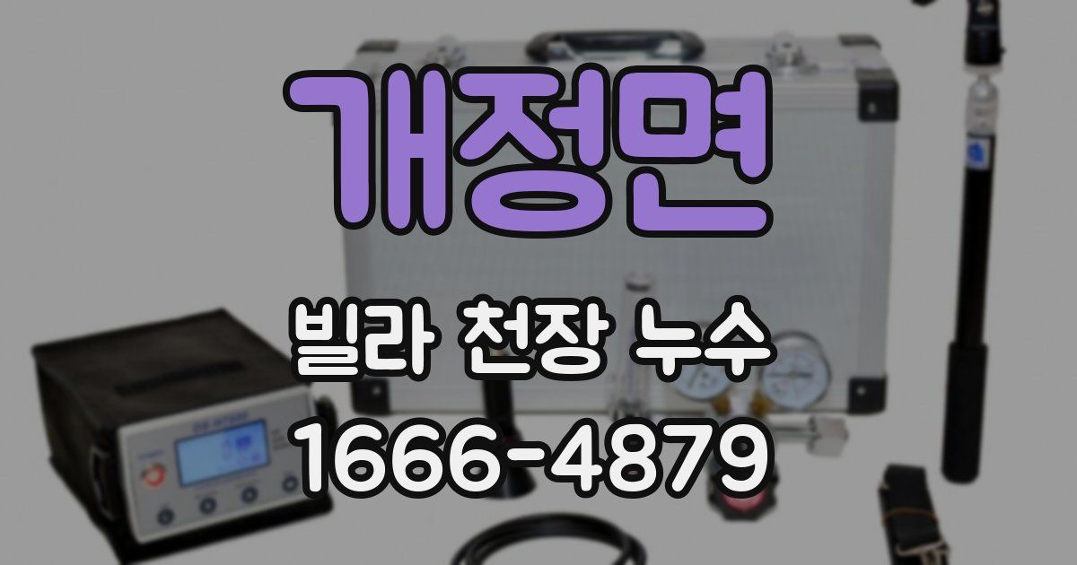 개정면 빌라 천장 누수