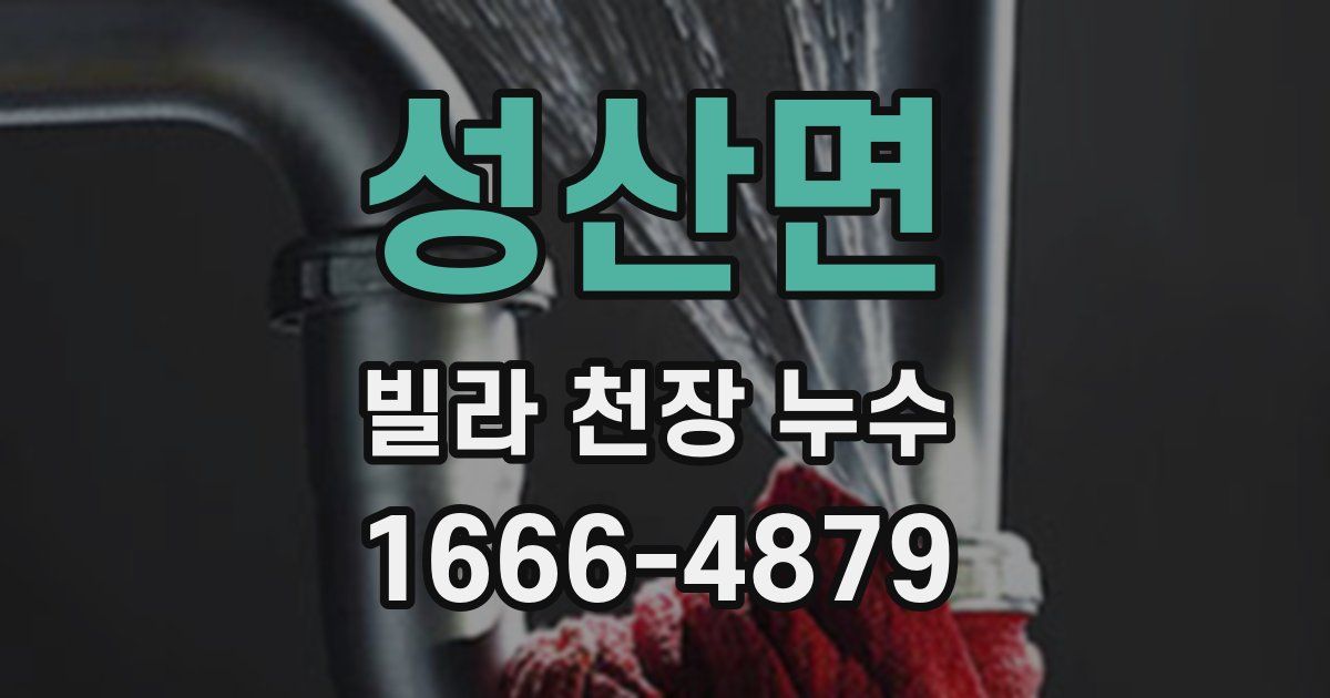 성산면 빌라 천장 누수