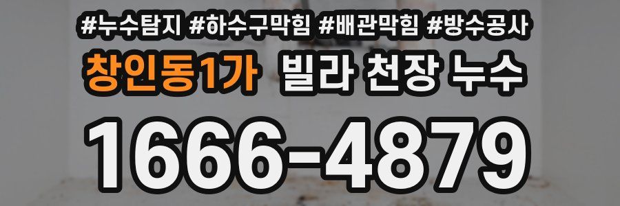 창인동1가 빌라 천장 누수