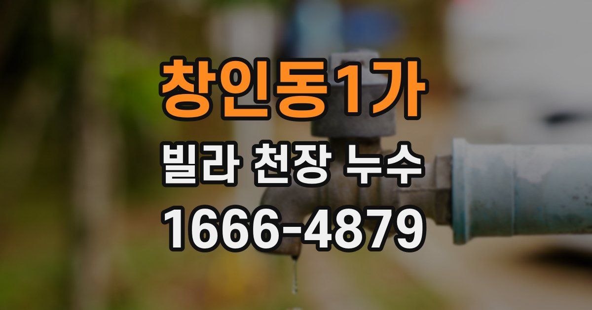 창인동1가 빌라 천장 누수