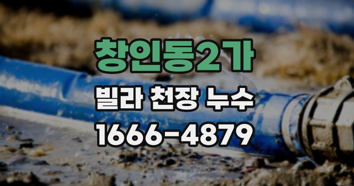 창인동2가 빌라 천장 누수