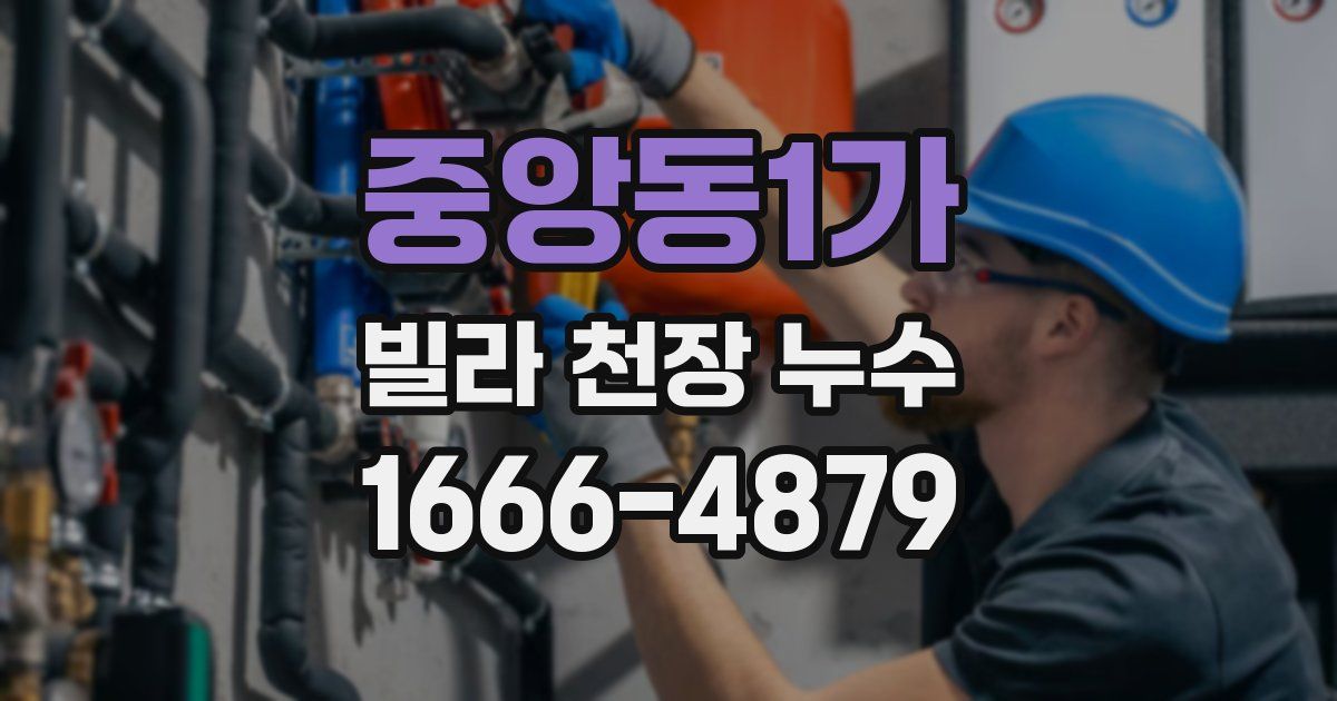 중앙동1가 빌라 천장 누수