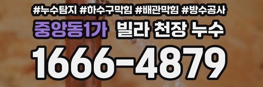 중앙동1가 빌라 천장 누수
