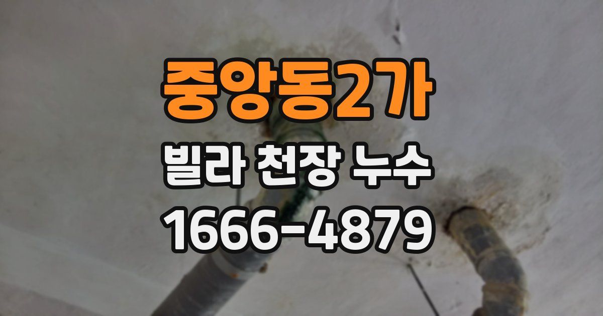 중앙동2가 빌라 천장 누수