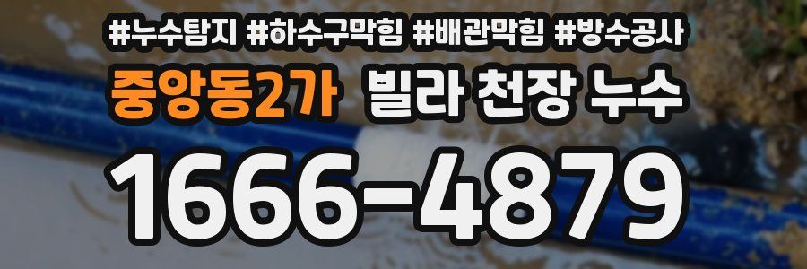 중앙동2가 빌라 천장 누수