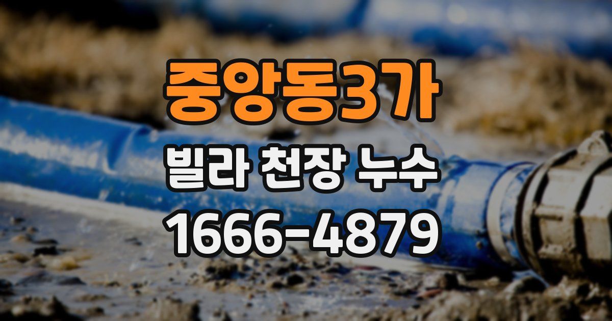 중앙동3가 빌라 천장 누수