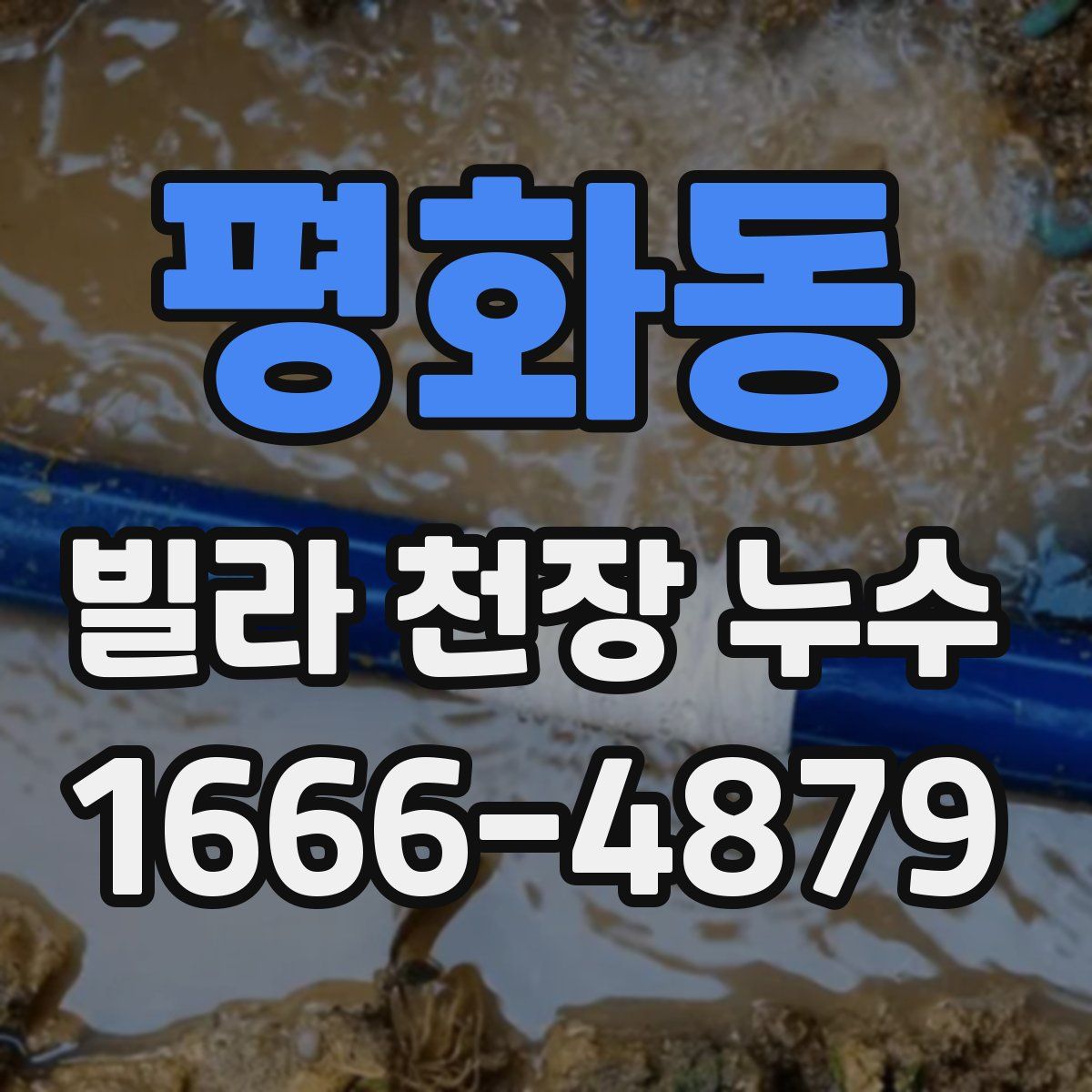 평화동 빌라 천장 누수