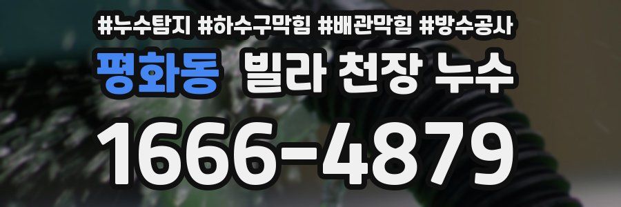 평화동 빌라 천장 누수