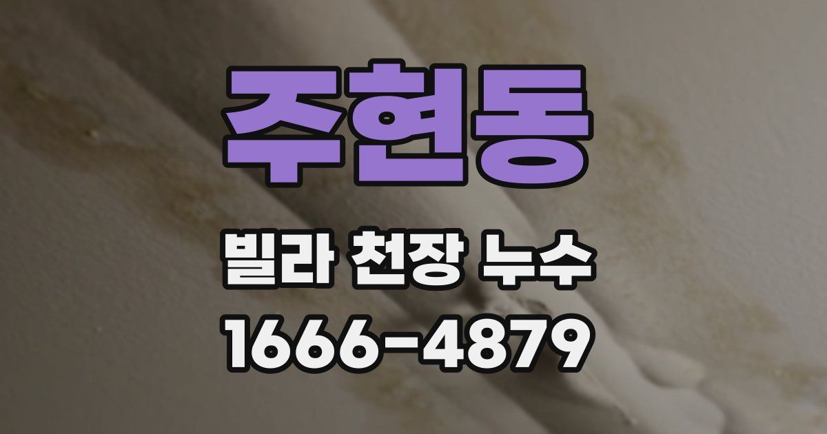 주현동 빌라 천장 누수