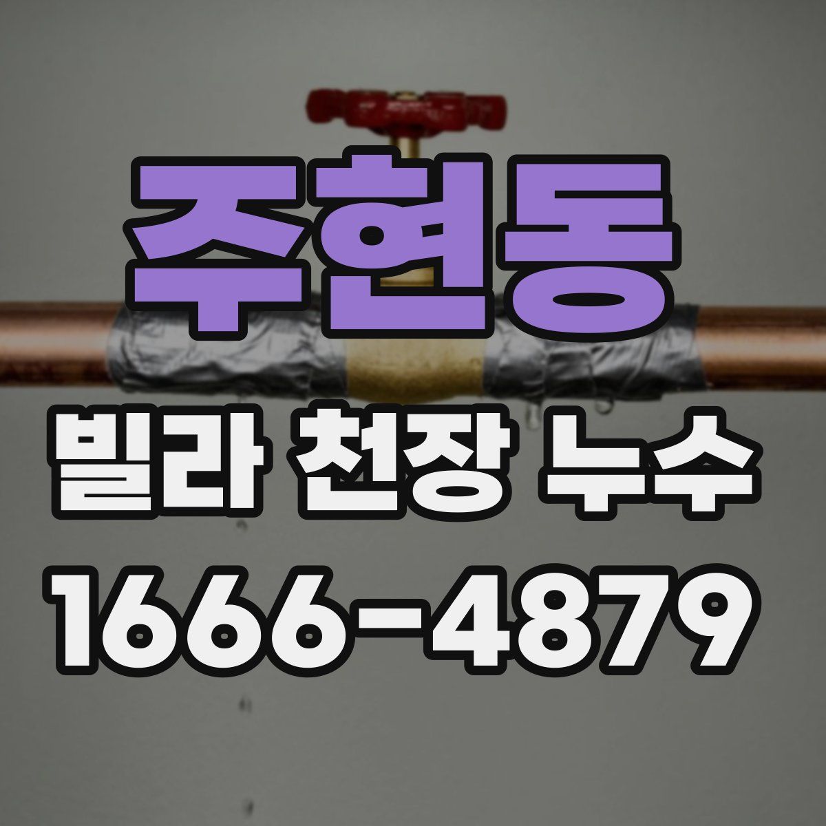 주현동 빌라 천장 누수