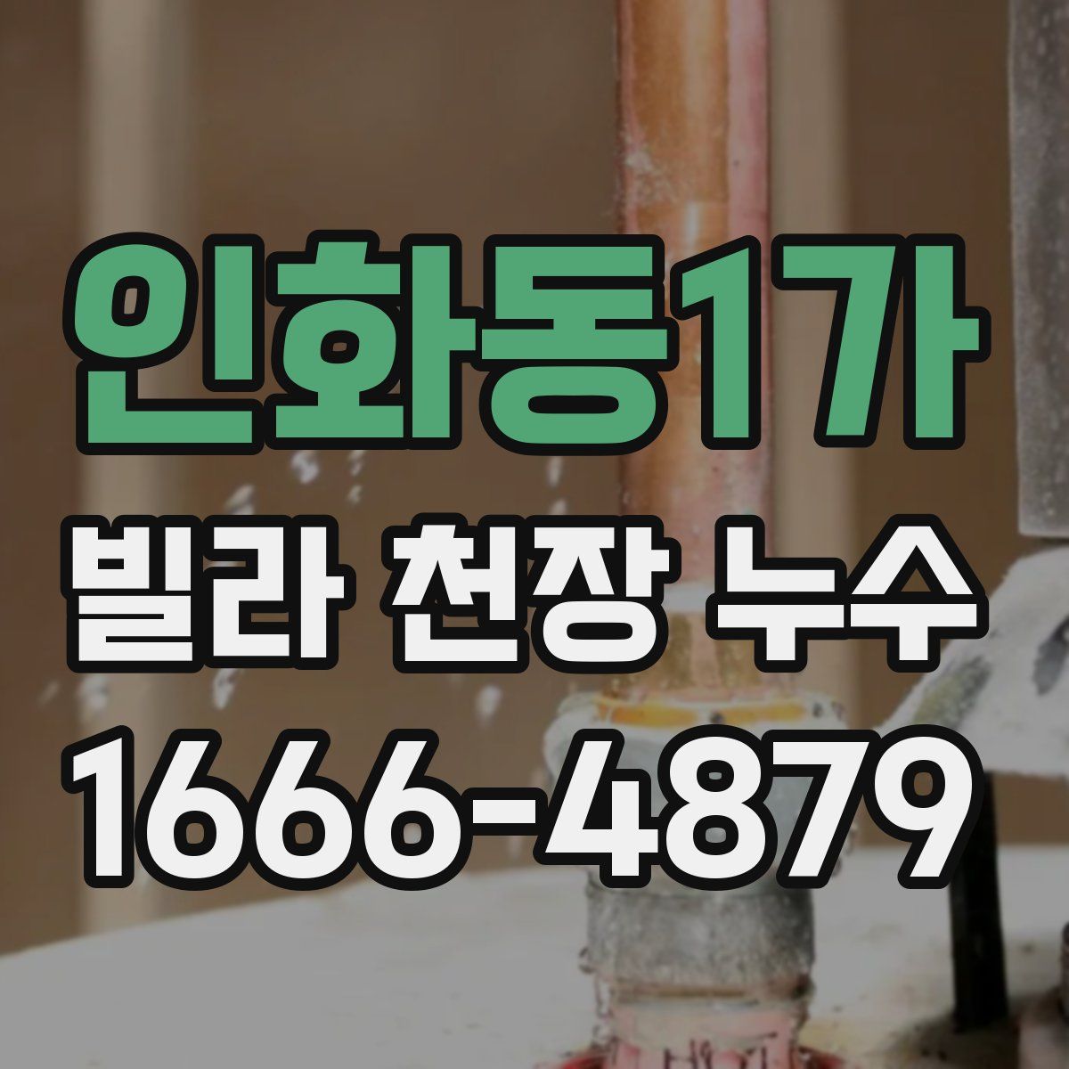 인화동1가 빌라 천장 누수
