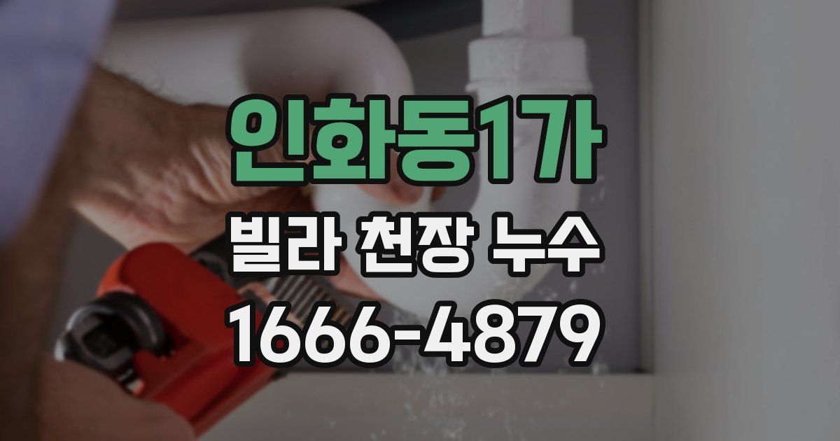인화동1가 빌라 천장 누수