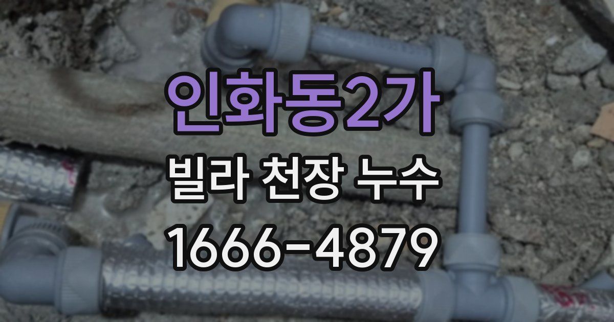 인화동2가 빌라 천장 누수
