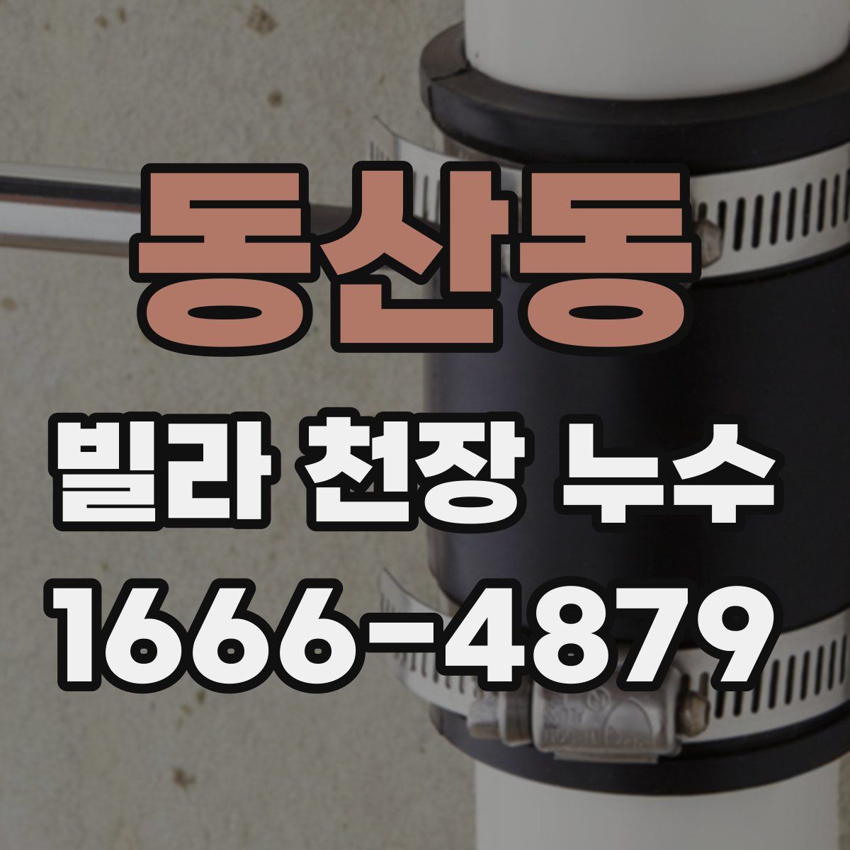 동산동 빌라 천장 누수