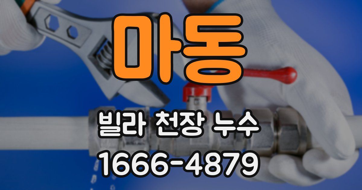 마동 빌라 천장 누수