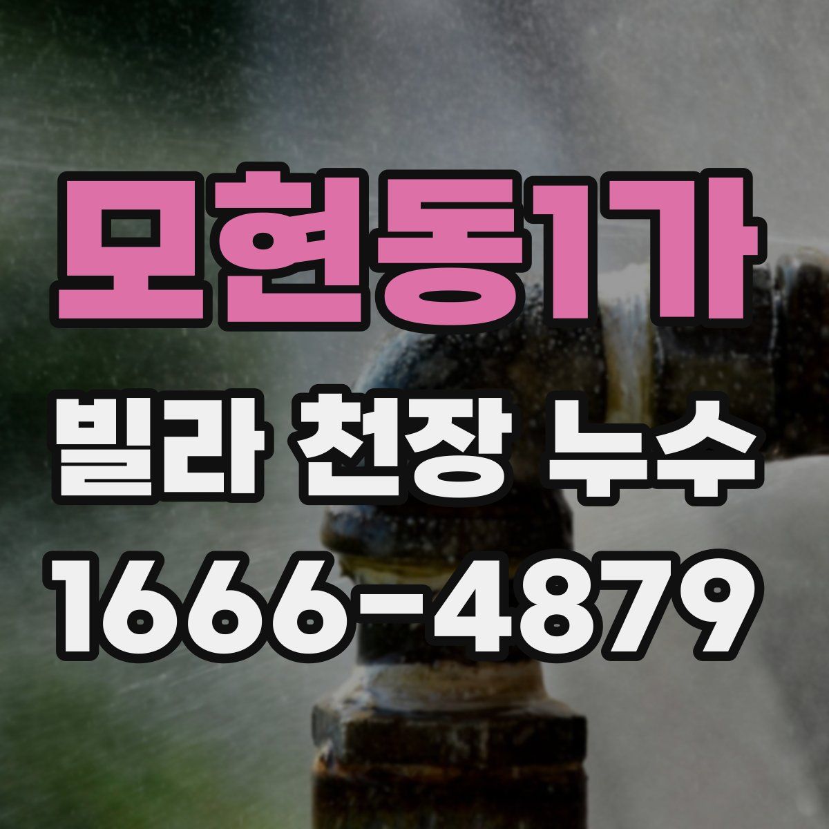 모현동1가 빌라 천장 누수