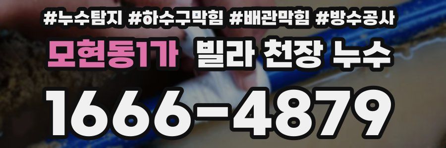 모현동1가 빌라 천장 누수