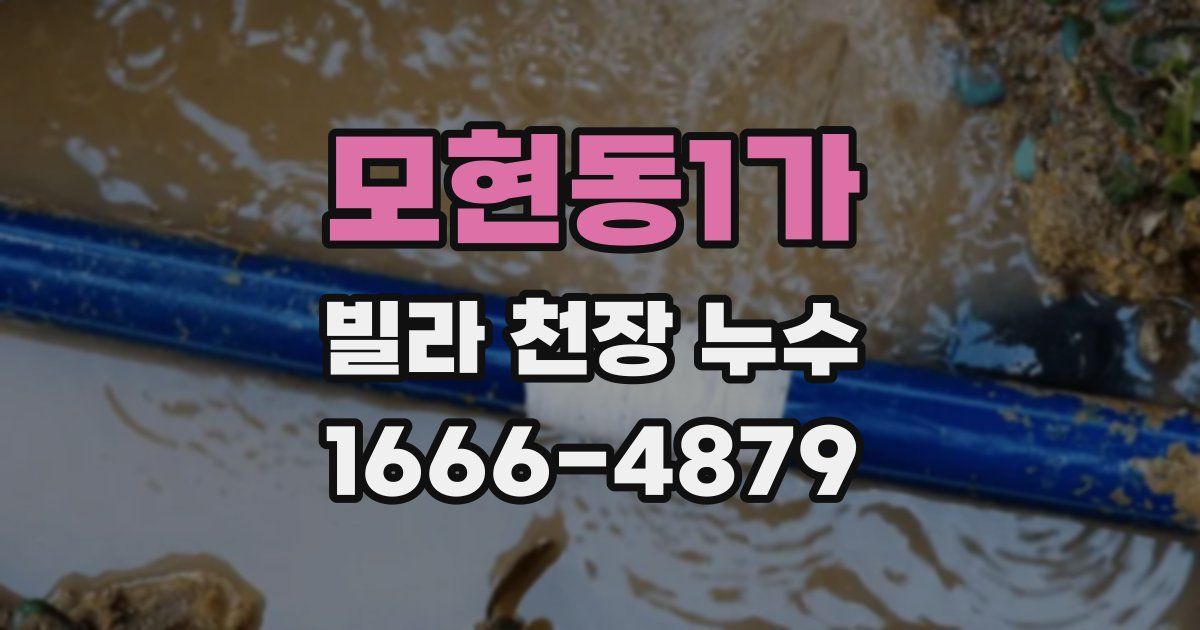 모현동1가 빌라 천장 누수