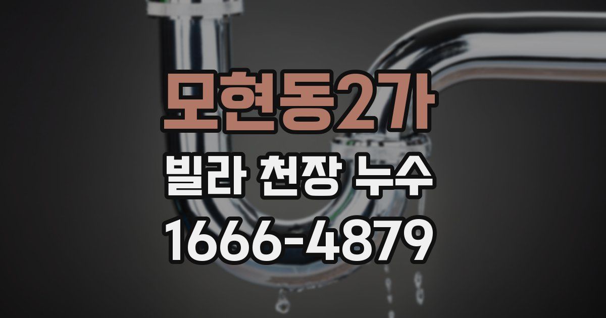 모현동2가 빌라 천장 누수