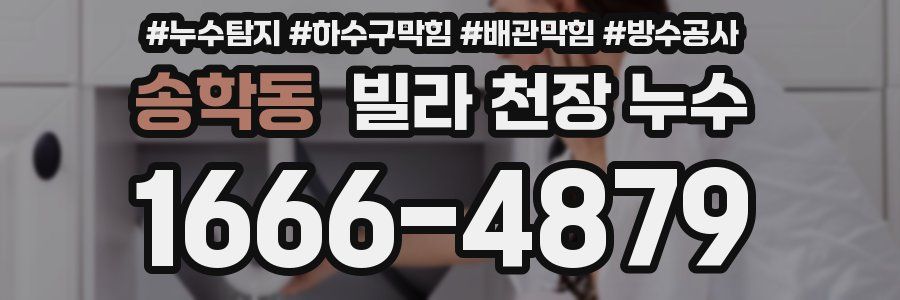 송학동 빌라 천장 누수