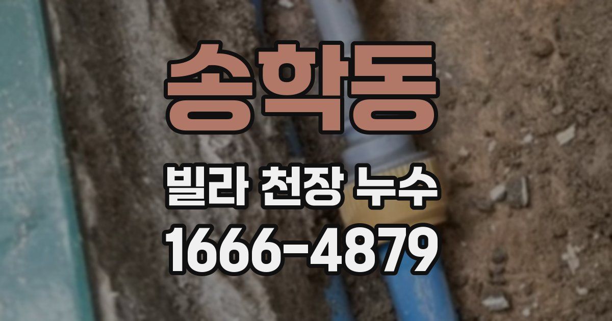 송학동 빌라 천장 누수