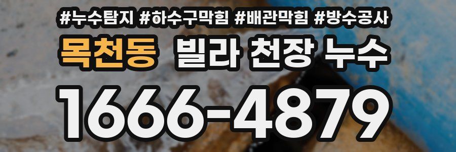 목천동 빌라 천장 누수