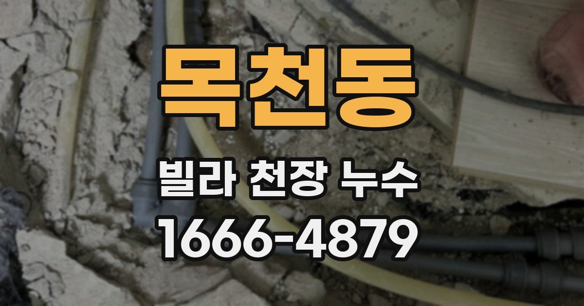 목천동 빌라 천장 누수