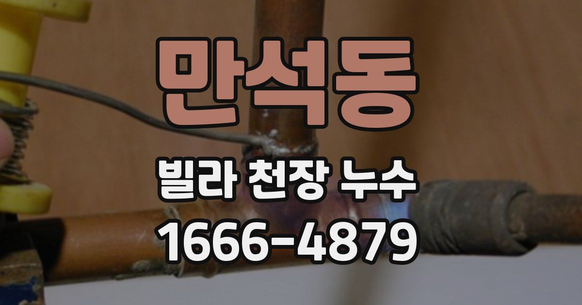 만석동 빌라 천장 누수