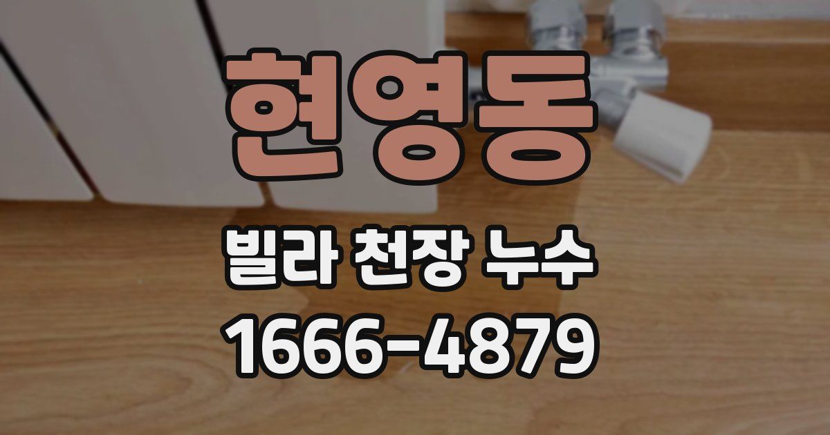 현영동 빌라 천장 누수