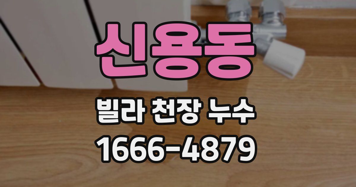 신용동 빌라 천장 누수