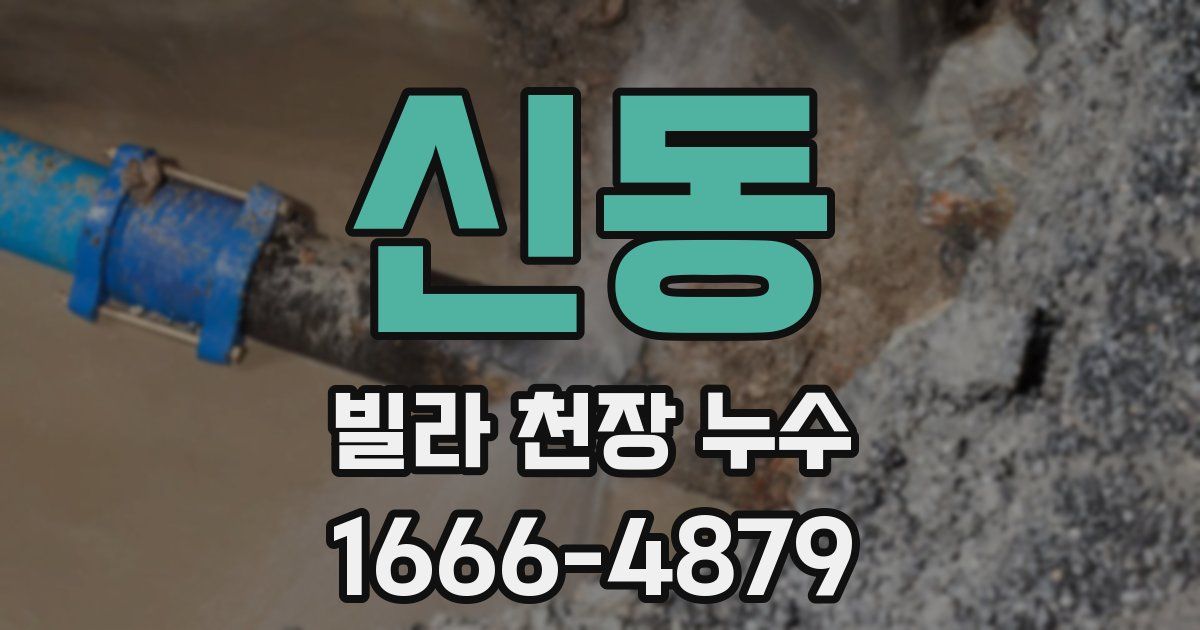 신동 빌라 천장 누수