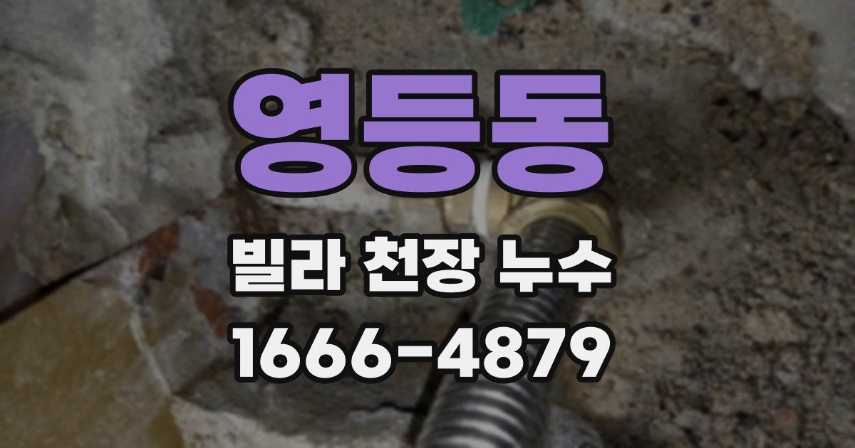 영등동 빌라 천장 누수