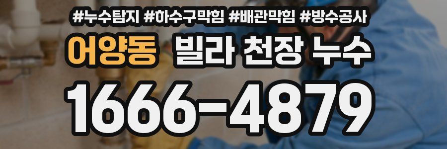 어양동 빌라 천장 누수
