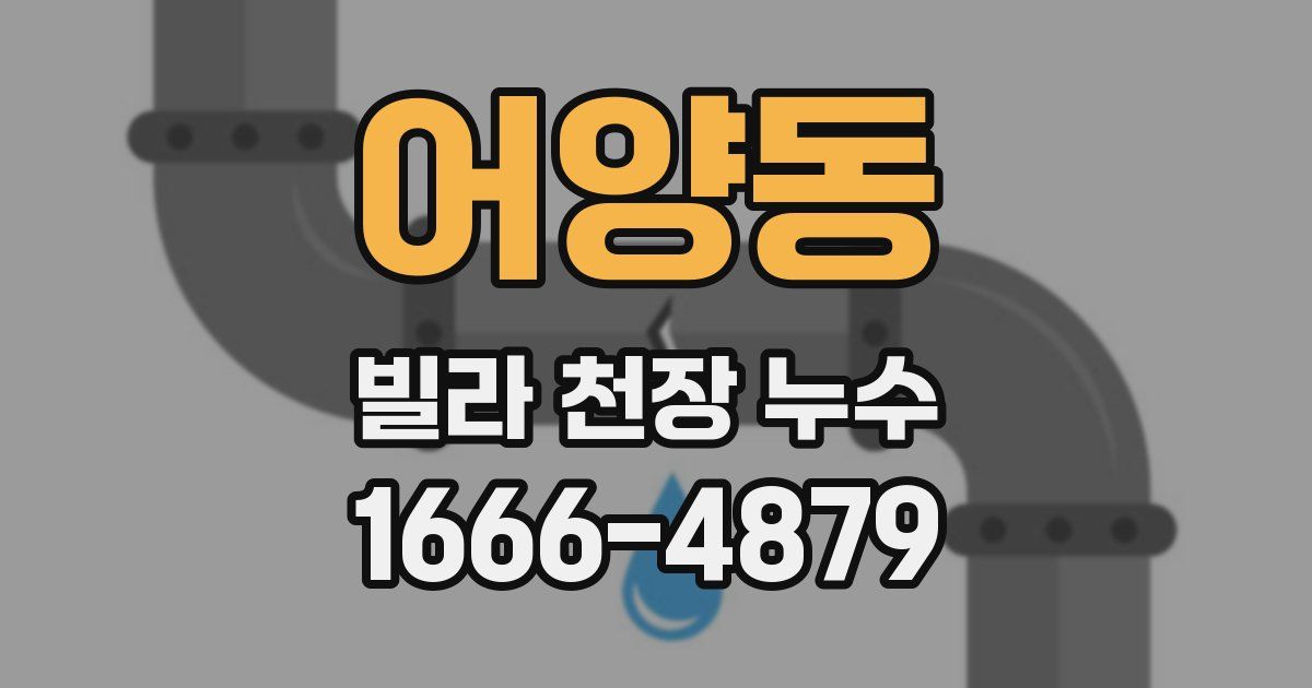 어양동 빌라 천장 누수