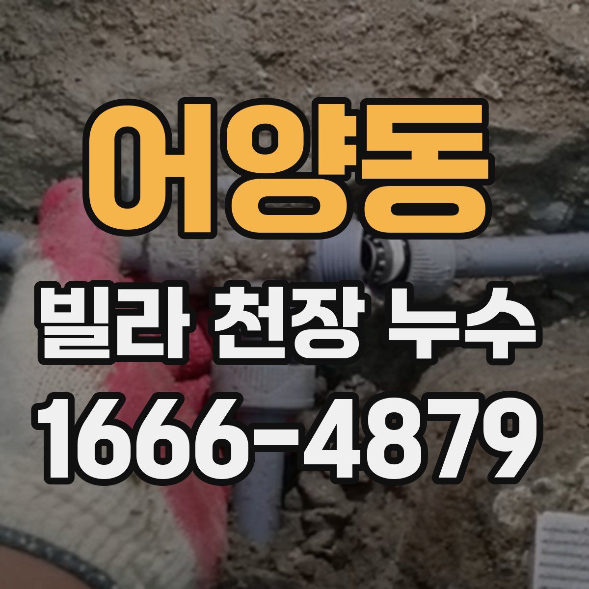 어양동 빌라 천장 누수