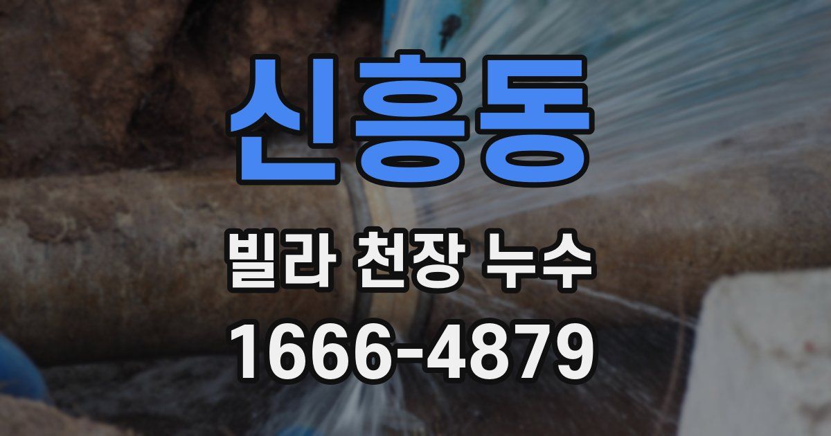 신흥동 빌라 천장 누수