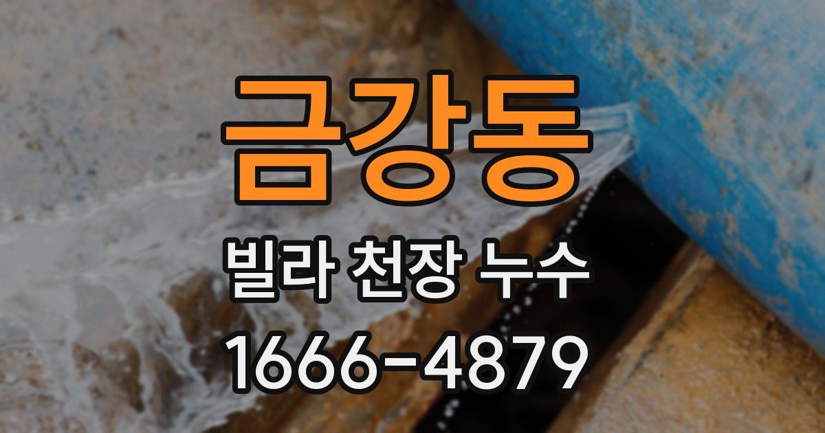 금강동 빌라 천장 누수