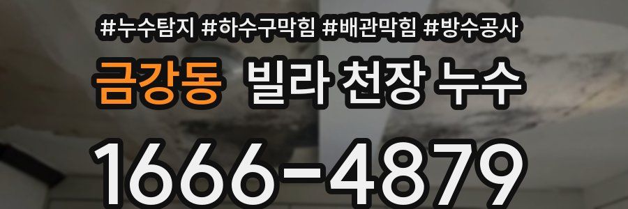 금강동 빌라 천장 누수