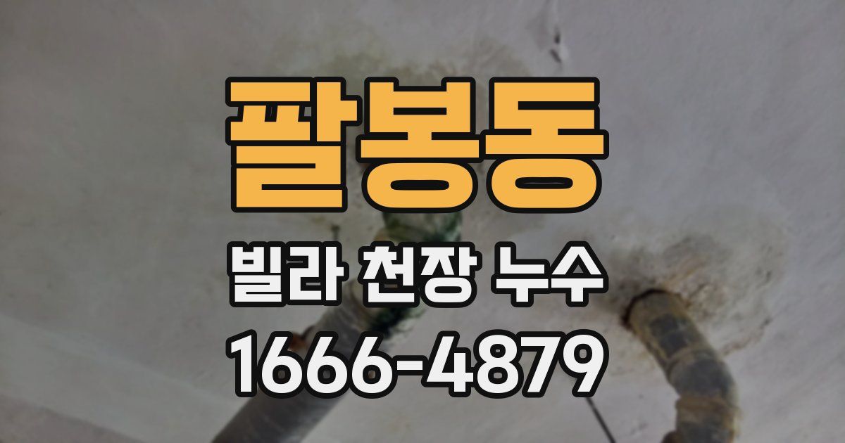 팔봉동 빌라 천장 누수