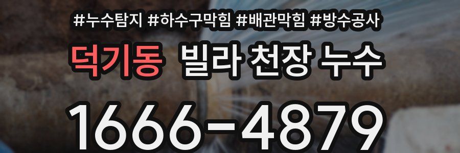 덕기동 빌라 천장 누수