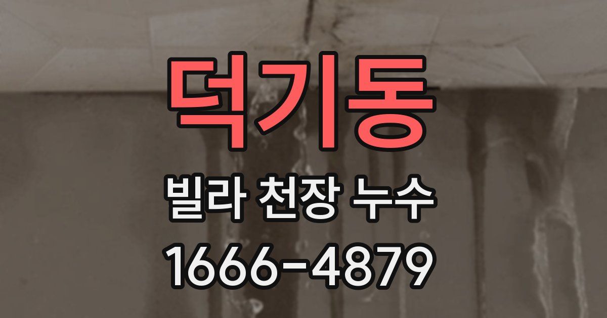 덕기동 빌라 천장 누수