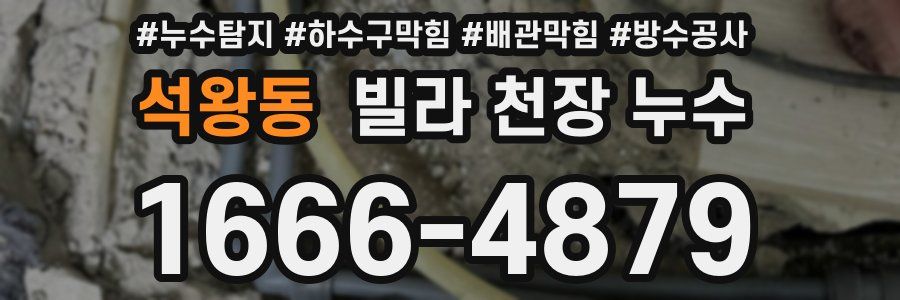 석왕동 빌라 천장 누수