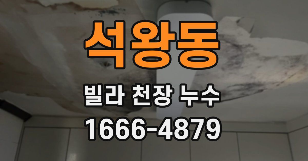 석왕동 빌라 천장 누수