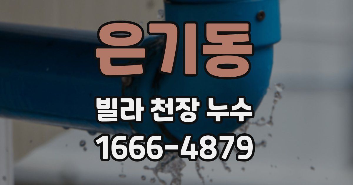 은기동 빌라 천장 누수