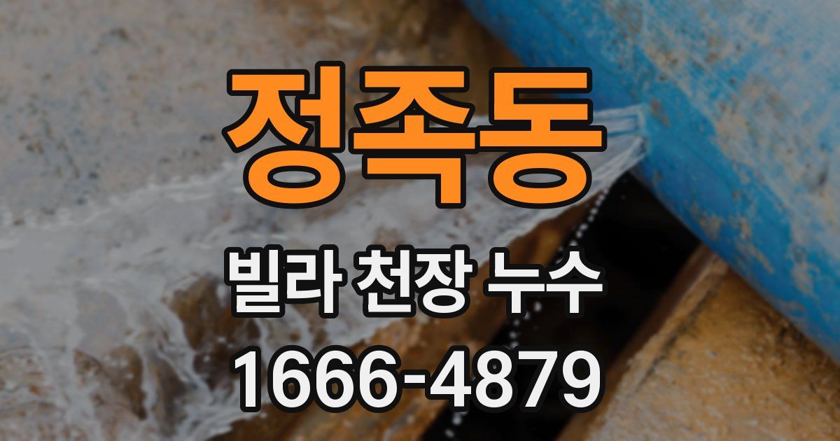 정족동 빌라 천장 누수