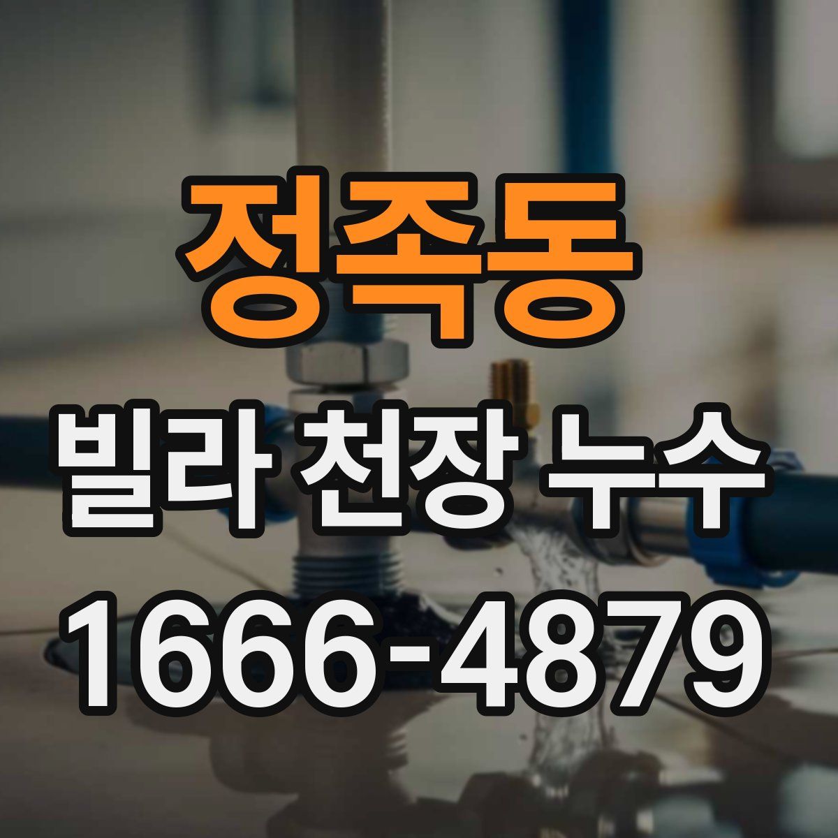정족동 빌라 천장 누수