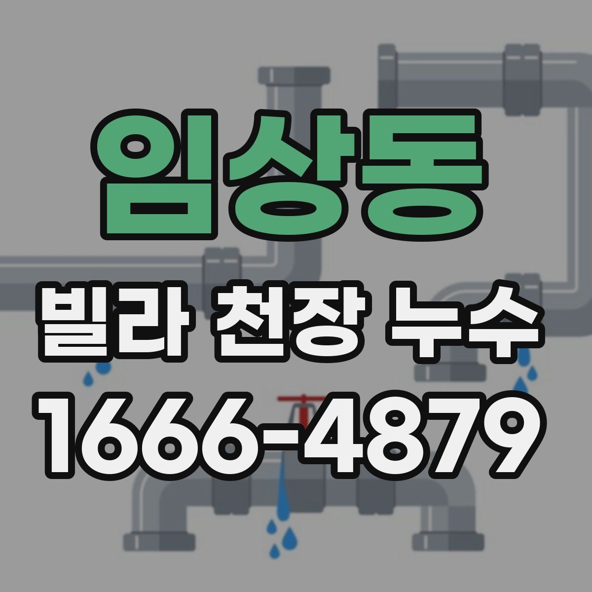 임상동 빌라 천장 누수