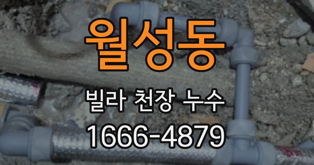 월성동 빌라 천장 누수