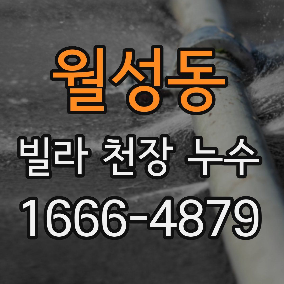 월성동 빌라 천장 누수